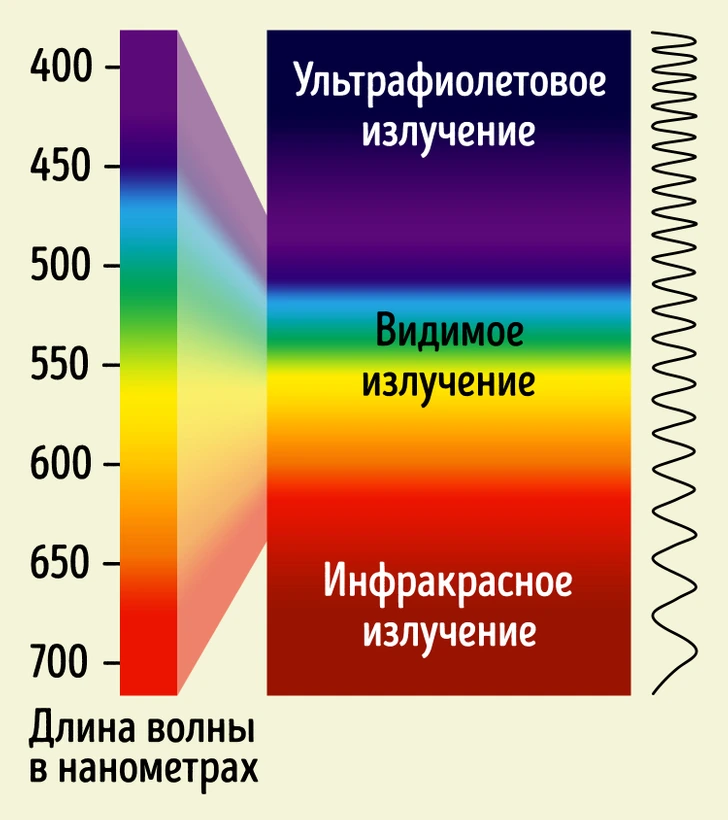 спектр света для растений